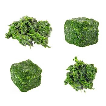 Frozen Spina ch (38)-7078923-3129.webp